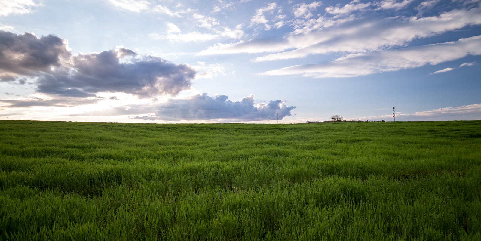 Green Grass Under Cloudy Sky