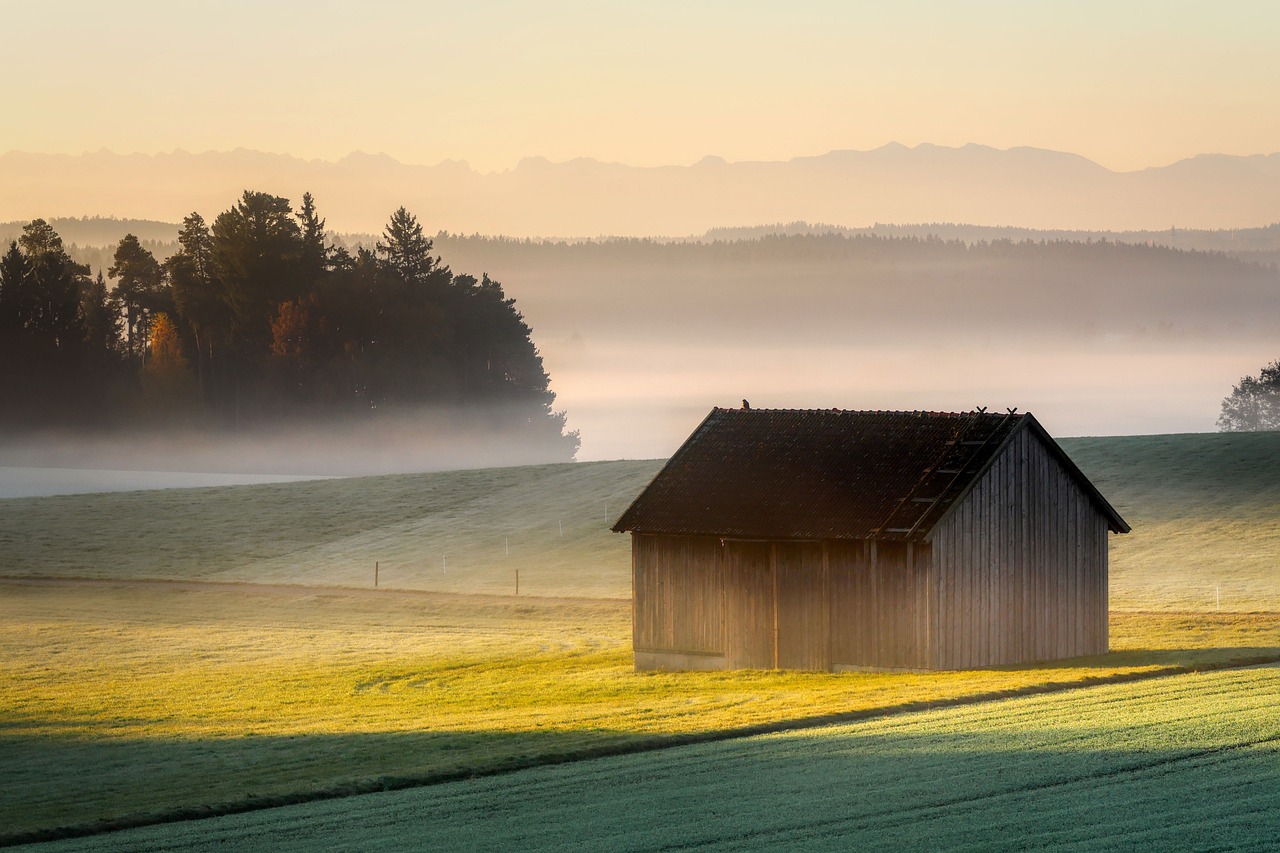 hut, fog, nature